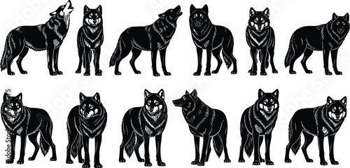 Black wolf and wild canine silhouette set, forest predator icons with howling and standing poses, nature animal vector for wilderness design,