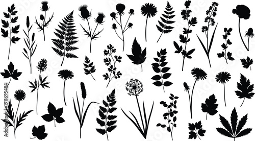 Black wildflower and leaf silhouette collection, meadow grass and forest foliage vector icons, botanical floral elements for nature inspired design projects
