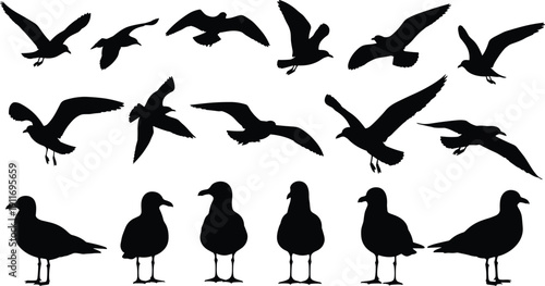 Black seagull silhouette set, flying and standing sea bird vector icons, marine coastal wildlife elements for ocean and beach design,