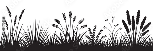 Grass field border isolated on white background. Silhouette garden grass lawn horizontal elements vector illustration.