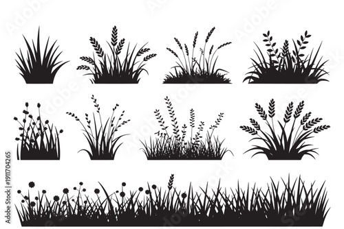 Grass field border isolated on white background. Silhouette garden grass lawn horizontal elements vector illustration.