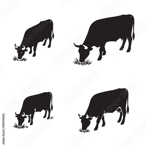 Cattle grazing pasture livestock farming agriculture rural natural landscape
