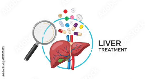 Detailed illustration of a human liver for medical treatment research with a magnifying glass and various colorful capsules.