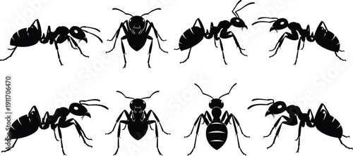 Black Ant Silhouette Vector Set, Worker Insect Icons In Different Poses For Pest Control Branding, Nature Education, And Entomology Graphics