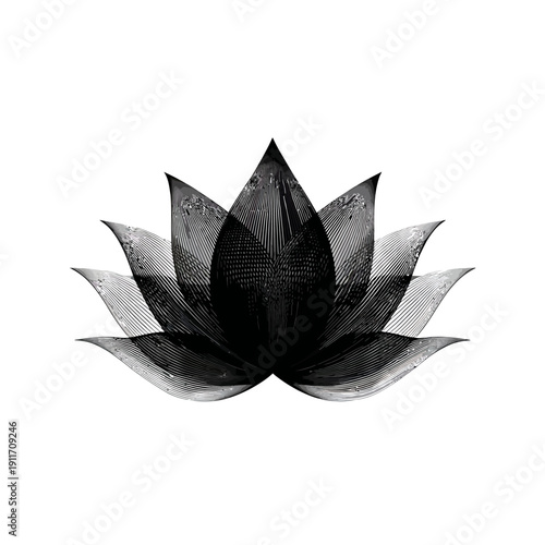 A stylized monochrome lotus blossom illustration, rendered with delicate line work on a white background