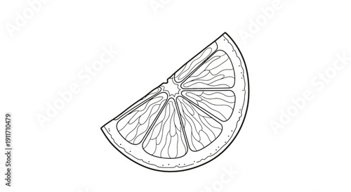 Black and white drawing of a single orange slice.