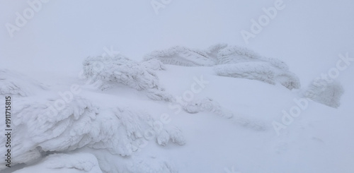 Ice pattern and white snow in winter in Chopok mountains