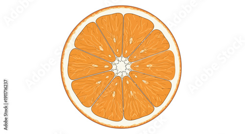 Close up of a vibrant orange slice isolated on a white background.
