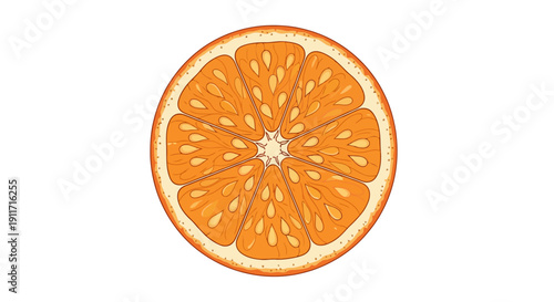 Close up of a vibrant orange slice showing segments and texture.