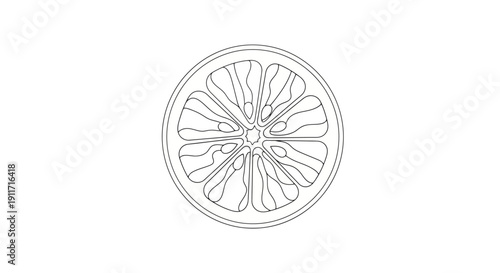 Detailed Outline Drawing of a Citrus Fruit Slice.