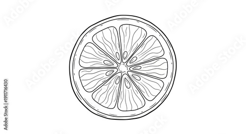 Detailed Sketch of a Fresh Orange Slice Isolated on White.