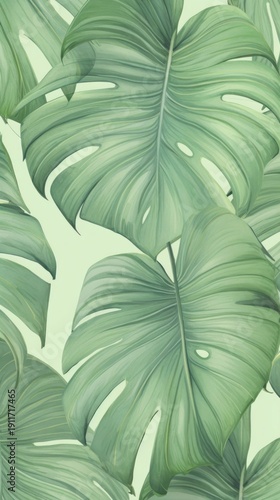 Wallpaper monstera and palm leaves backgrounds nature jungle.