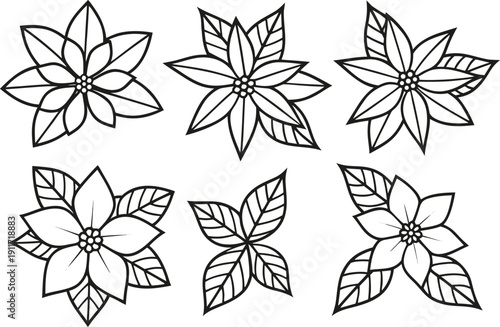 Poinsettia Garden Flower Design. Poinsettia Festive Floral Element. Poinsettia Decorative Plant Art. Poinsettia Flower Ornament Design. Poinsettia Winter Garden Plant. Poinsettia Holiday Plant Artwork