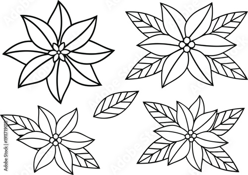 Poinsettia Garden Flower Design. Poinsettia Festive Floral Element. Poinsettia Decorative Plant Art. Poinsettia Flower Ornament Design. Poinsettia Winter Garden Plant. Poinsettia Holiday Plant Artwork