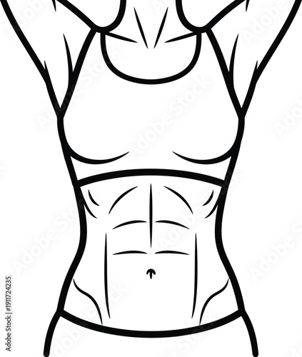 Line drawing of a fit woman's torso showing defined abdominal muscles while wearing a sports bra. Vector