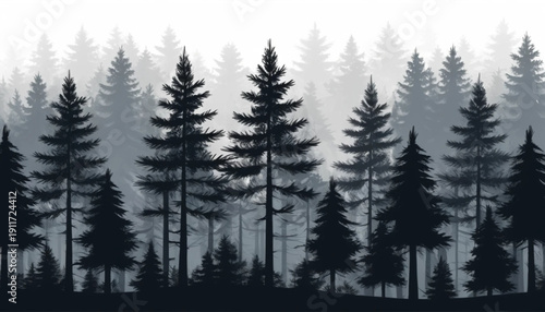 Dense forest of tall pine trees in misty foggy atmosphere at dawn or dusk