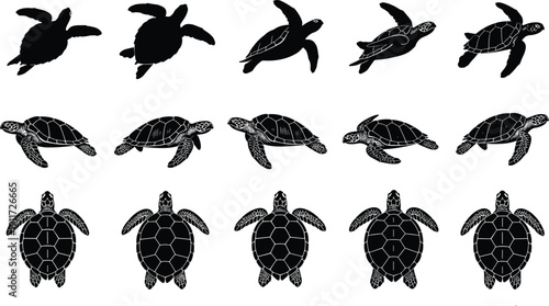 Sea Turtle Silhouette Set, Marine Wildlife Vector Collection with Swimming Poses, Black Outline Ocean Animal Illustration for Design
