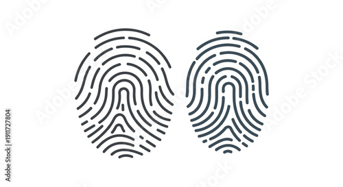 Abstract illustration of two distinct human fingerprints, symbolizing identity, security, and unique biometric identification on a clean white background.
