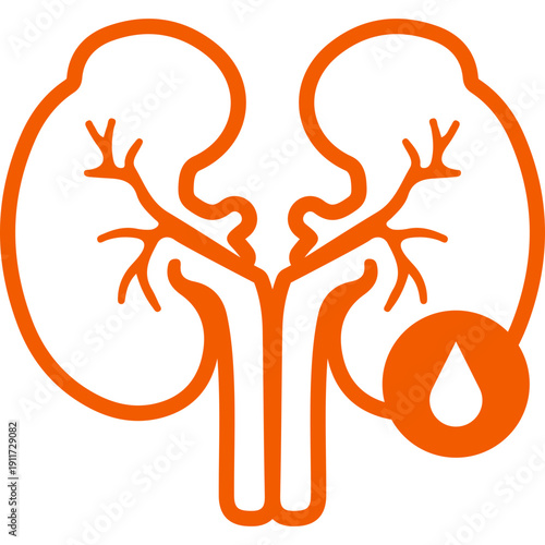 Human Kidneys Medical Vector Icon