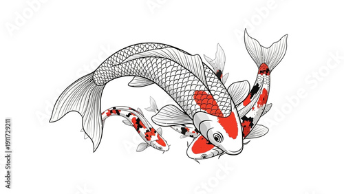 Koi fish illustration elegant decorative design on white background