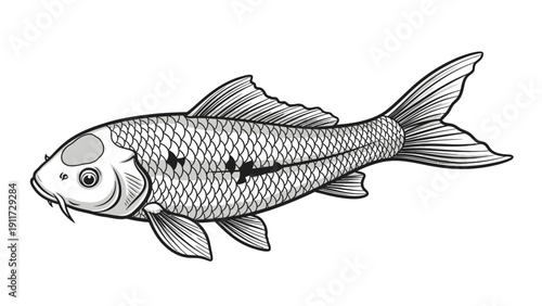 Koi fish illustration elegant monochrome design for decorative purposes
