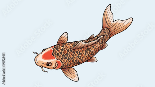 Koi fish illustration orange brown and white aquatic animal design
