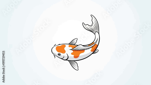 Koi fish illustration orange white aquatic animal isolated on white