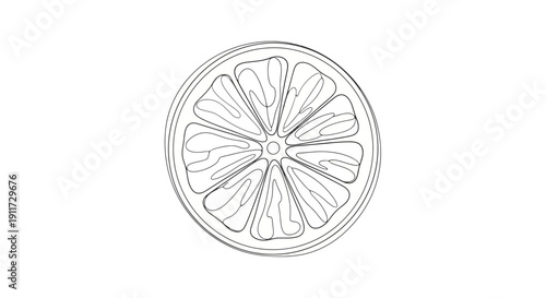 Hand drawn sketch of a single citrus fruit slice.