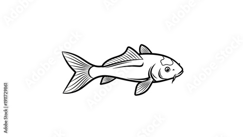 Monochrome illustration of a koi fish isolated on white background