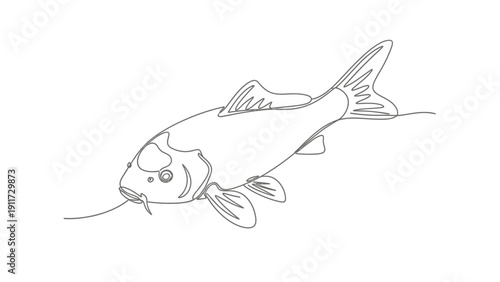 Minimalist line drawing of koi carp fish in calm water against white