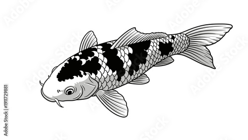 Monochrome illustration of a vibrant koi fish on a clean white background