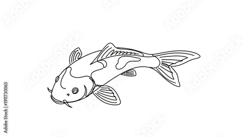 Outline illustration of a koi fish isolated on white background