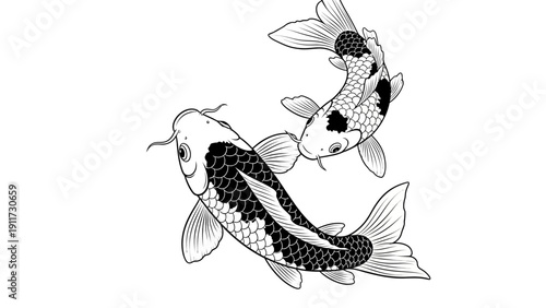 Two ornamental koi fish illustration swimming against a white background