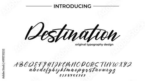 Destination - Elegant Script Font for Smooth Handwritten Design and Creative Typography