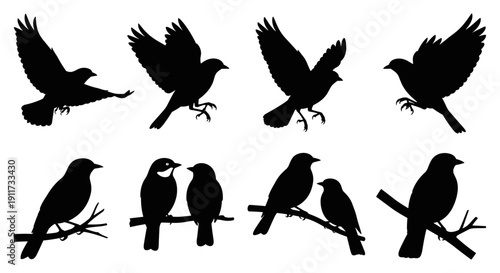 Diverse collection of elegant black bird silhouettes in various flying and perched poses, perfect vector graphics for nature, wildlife, and freedom concepts