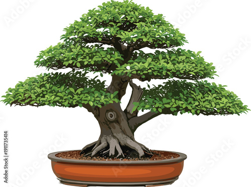 Bonsai tree illustration, detailed miniature Japanese plant in ceramic pot, zen garden concept, traditional horticulture art, realistic vector design isolated on white background