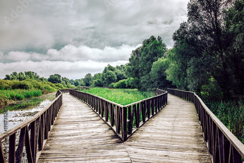 View of wooden pathways diverge like open arms into a vibrant green landscape under a sky heavy with clouds, KopaÄevo, OsjeÄko-baranjska Å¾upanija, Croatia.