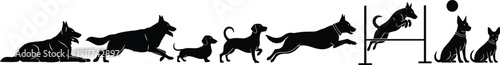 Dog agility training silhouette illustration, canine running jumping obstacle course progression, obedience sport concept, black vector icons isolated on white background