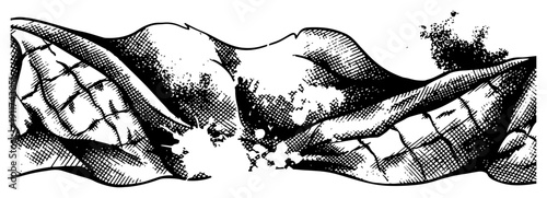 Artistic engraving style sketch of twisted fabric or organic wrapped forms