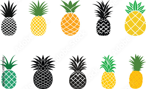 Set of pineapple. pineapple fruit vector. pineapple fruit vector collection. pineapple fruit illustration in flat style. fresh summer fruit.