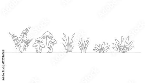 Vector illustration of various plants and mushrooms in a line drawing style on a white background