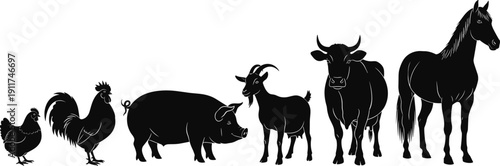 Farm animal silhouettes collection illustration, chicken rooster pig goat cow and horse lineup, black livestock icons set, rural agriculture vector isolated on white background