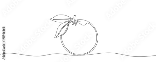 Orange with leaves in one line art style. Drawing of a whole citrus fruit with a branch and leaves, made by a continuous line. Vector illustration.