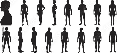 Human body silhouette set showing male and female figures in front, side and standing poses isolated on white