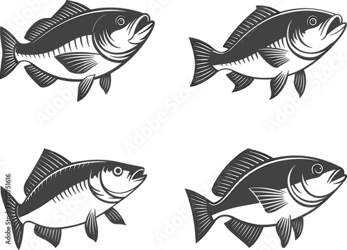 Hand drawn fish vector illustration set, showing aquatic animal, nature, wildlife, seafood and fishing hobby concept