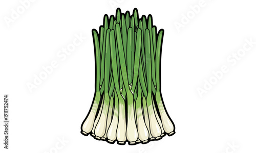Bunch of Scallions Vector Illustration Isolated on White Background