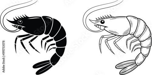 Hand drawn shrimp or prawn vector set, showing seafood, aquatic animal, nature and fishing concept