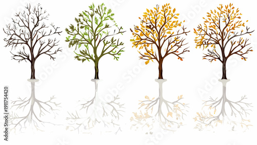 Four trees illustrating the changing seasons with visible root systems