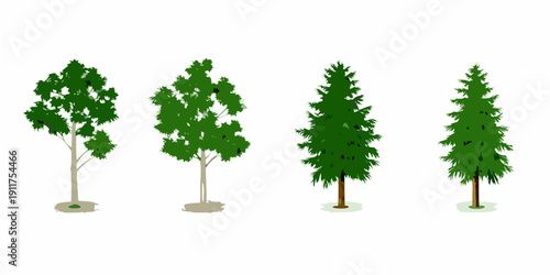Four stylized trees of different shapes and shades of green are displayed