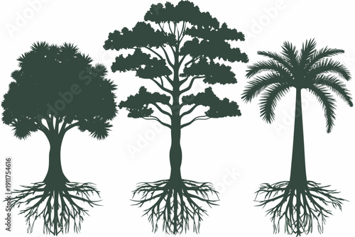 Silhouettes of three different trees with exposed root systems
